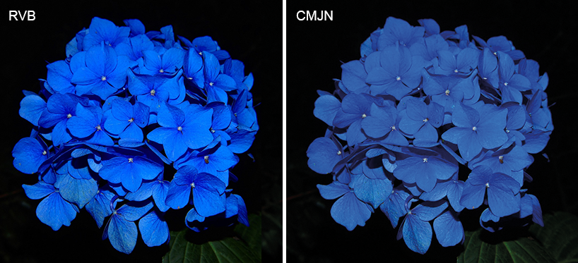 différence couleur CMJN et RVB